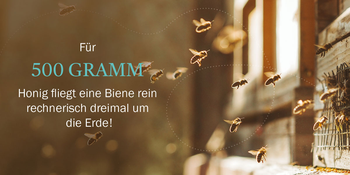 Honig Geschichten Seite 7